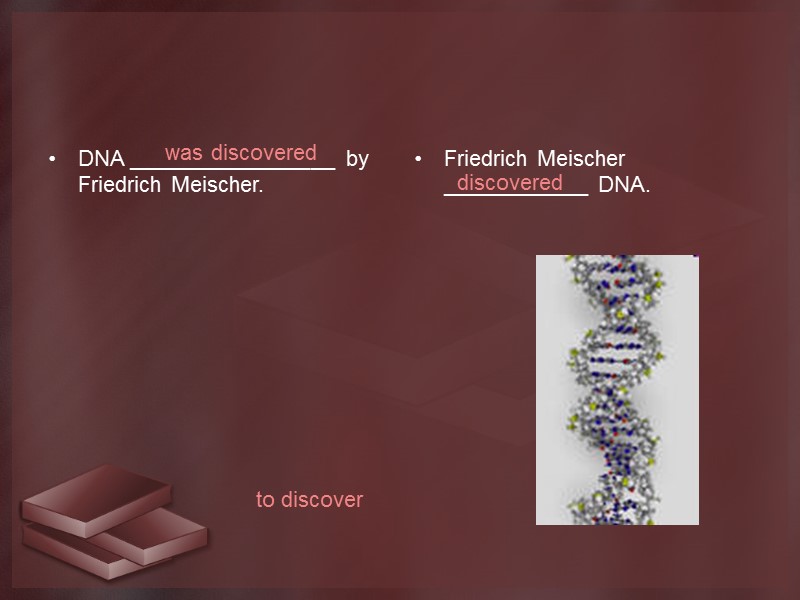 DNA _________________ by Friedrich Meischer. Friedrich Meischer ____________ DNA. to discover was discovered discovered